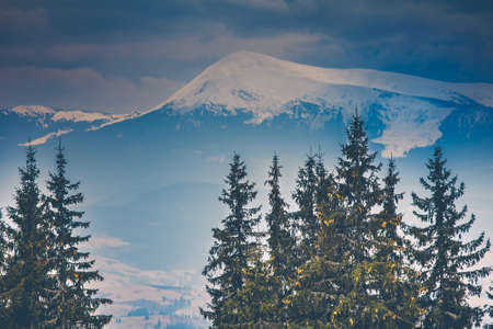 Snowy mountain peak and pine trees under cloudy sky. Dramatic scenery. Carpathian, Ukraine, Europe. Beauty worldの写真素材