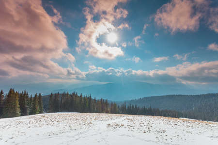 Majestic forest at snowy mountain valley. Dramatic and picturesque morning scene. Carpathians, Ukraine, Europe. Beauty worldmountain landscape on the cloudy sky backgroundの写真素材