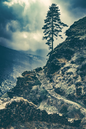 Old stone stages into the sky. Lonley tree on the top. Himalaya mountains in the dawn. Dramatic sky...