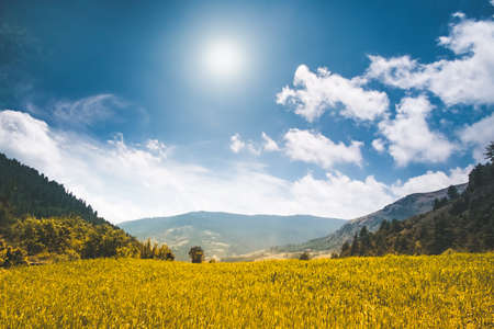 Beautiful mountain landscape in the summer day. Yellow meadow, bue sky with clouds and sun. Nature background. Agriculture rice field in Nepal, trekking in Himalaya. Exploring beauty worldの写真素材