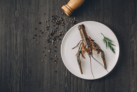 Food concept. One big green fresh crawfish on white plate with green herbs. Black and white pepper grains around. Gray wooden table background. Instagram vintage toning effect. Top view. Copy spaceの写真素材