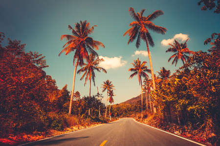Colorful sunset landscape with empty road and palm trees in jungle against clear blue sky. Vintage retro post processed. Fashion, summer, vacation and tropical beach concept. Travel backgroundの写真素材