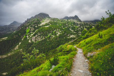 Tourist trail in high wild mountains. Cloudy foggy sky and green hills around. Nature landscape. Travel background. Holiday, hiking, sport, recreation. National Park High Tatra, Slovakia, Europeの写真素材