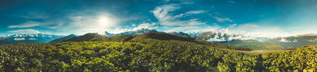 Panorama of summer landscape with green hills and mountain snow capped peaks against blue cloudy sky. Svanetia region, Georgia. Main Caucasian ridge. Holiday, hiking, sport, recreationの写真素材