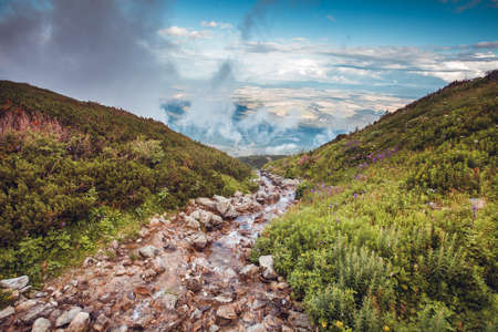 Crystal creek in high wild mountains. Cloudy foggy blue sky angd green hills around. Nature landscape. Travel background. Holiday, hiking, sport, recreation. National Park High Tatra, Slovakia, Europeの写真素材