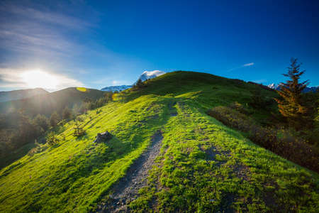 Panoramic summer landscape with green hill and mountain trekking path against blue sky. Svanetia region, Georgia. Main Caucasian ridge. Travel background. Holiday, hiking, sport, recreation.の写真素材