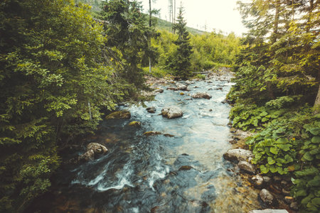 Wonderful peaceful valley landscape. The river with crystal clear water surrounded by the dense...