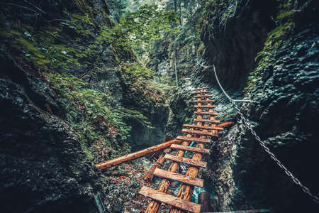 Abandoned old wooden bridge with backup metal chain in deep wild lush jungle forest. Road to nowhere. Outdoor extreme activities. Wild nature. Artistic retouching. Vintage style.の写真素材