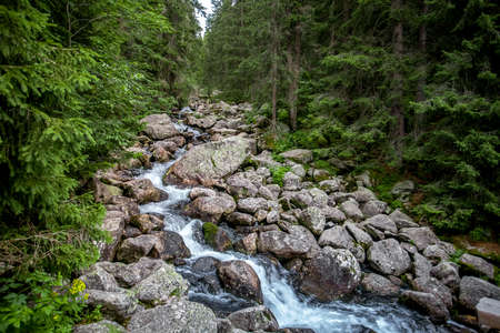 The lonely creek flowing between the weathered granite boulders surrounded by the dense woods. Strength and power of the wild nature. The Tatra Mountains, Slovakia.の写真素材