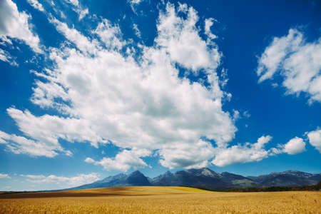 Fantastic view the white bright clouds in the clear blue sky. Wonderful skyscape under the Tatras Mountains in Slovakia. Ideal background for illustrations and collages.の写真素材