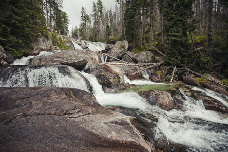 Close-up scenery the mountain creek flowing through the weathered granite boulders in the Tatras...
