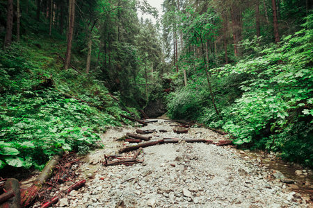 Coarse gravel trail covered with wooden logs between the hills in the Tatra Mountains in Slovakia. Pedestrian tourist trail. Outdoor extreme activity and leisure. Beauty of wild nature.の写真素材