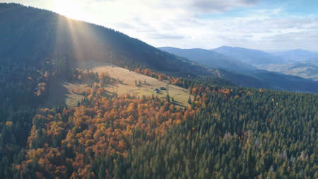 Aerial View over beautiful autumn mountain landscape. Yellow pasture with lonley houses among orange pine tree forest. Mountain range in the background. Holidays, travel. Carpathians, Ukraine, Europeの写真素材