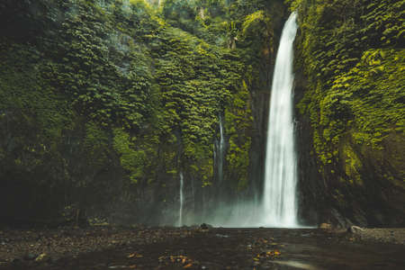 Falling water waterfall, green jungle landscape, Bali. Gorgeous scenery the water falling from the vertical rock lost in the deep jungle. Bali island, Indonesia. Beauty of wild untouched nature.の写真素材