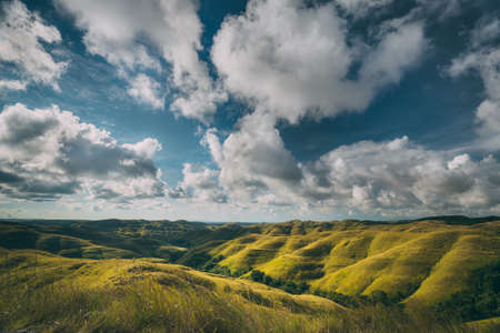 Green meadow, cloudy sky. Landscape. Sumba island. Amazing scene the stunning meadows covered with the dense grass. Bright blue cloudy sky. Sumba island, Indonesia. Untouched wild nature.の写真素材