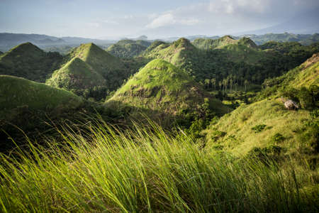 Chocolate Hills in the Bohol province of the Philippines. Famous tourist attraction. Green grass in front. Travel Background. Nature landscape. Holiday, hiking, sport, recreationの写真素材