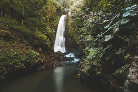 Falling water cascade waterfall, green jungle landscape, Bali. Gorgeous scenery the water falling from the vertical rock lost in the deep jungle. Bali island, Indonesia. Beauty wild untouched nature.の写真素材