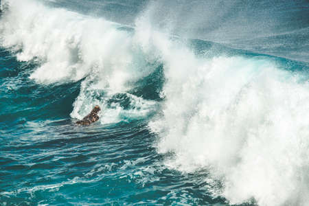 Close-up water clear turquoise splashing ocean wave. Bali. Perfect background for the different kinds of the collages and illustrations. Strength of wild virgin nature.の写真素材