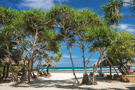 White sand beach, tropical trees. Tourism, Bali. Ideal place for rest and relax the stunning beach with white sand and tropical trees. Perfect equipment the sun beds, straw umbrellas.の写真素材