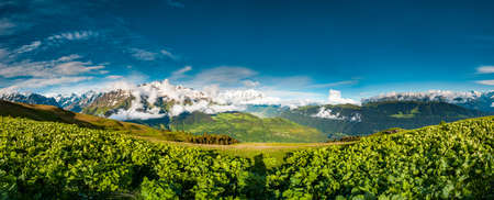 Panoramic view of green valley on mountains background. Overwhelming scenery of Georgian nature. Road crossing lowland. Green hills before the snow covered mounts. Cloudy blue sky.の写真素材