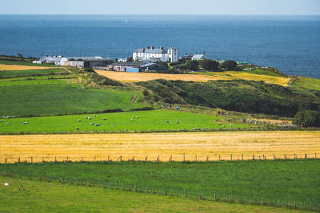 Farm surrounded by the fields on the Northern Ireland shore. Cozy buildings among the picturesque grass covered meadow. The pasture with the cattle. Calm ocean background. Countryside landscape.の写真素材
