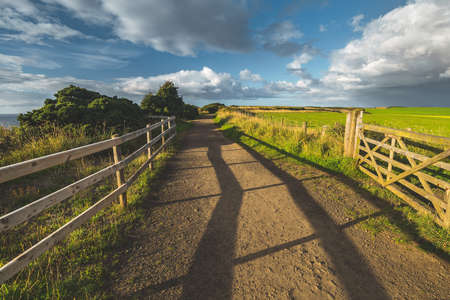 Countryside road with wooden fence. Northern Ireland landscape. The country driveway passing through the green grass fields. Horizon view. Blue cloudy sky background. Stunning Irish scene.の写真素材