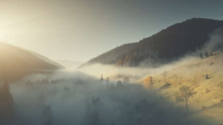 Epic Chain Hill Forest Slope Landscape Aerial View. Misty Evergreen Forest Mountain Scenery Wildlife Habitat Sight. Thick Fog Steep Rock Gorge Clean Ecology Concept Drone Flightの写真素材