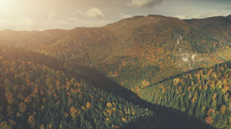 Autumn Sunset Forest Mountain Scenery Aerial View. Bright Wildlife Nature Multicolored Hill Tree Slope Overview. Epic Highland Rocky Landscape Twisted Rural Road Timelapse Drone Flighの写真素材