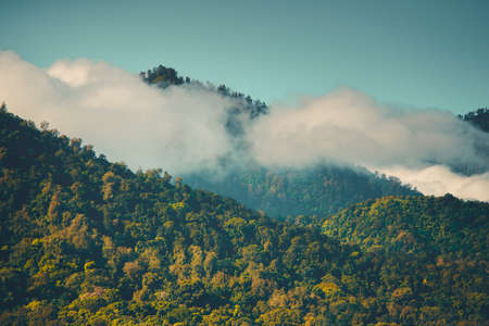 Cloudy Mountain Peaks in Sunny Day Bali Indonesia. Beautiful View Green Jungle Forest Climb, Clouds and Clear Blue Sky. Good Weather and Summer Day Wild Interesting Landscape Panoramic Photoの写真素材