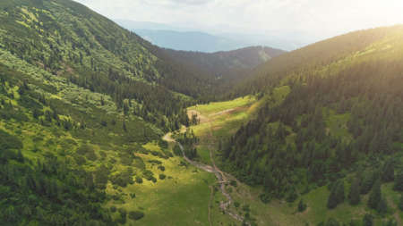Aerial Drone Flight View: beautiful mountain landscape. Green canyon with pine tree forest and curve river in sunset. Nature, travel, hiking, holidays concept. Carpathian mountains, Ukraine.の写真素材