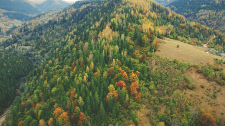 Autumn Mixed Forest on Carpathian Mountain Slope. Static Aerial View of Colorful Pine Wood. Drone Shot Ukraine Highland Village Landscape. Fall Vacation, Travel.の写真素材