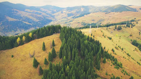 Aerial Drone shooting of autumn mountains with forests, meadows and hills in sunset soft light. Carpathian Mountains, Ukraine, Europe. Majestic landscape. Beauty world.の写真素材