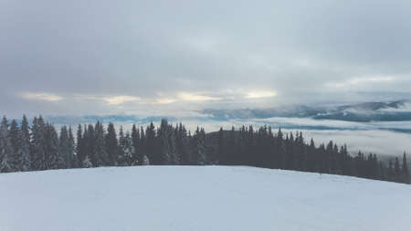 winter mountains with clouds and fog in sunset time. Ski slope, pine tree forest, mount range in the background. Majestic nature landscape. Holidays in Ski Resort Bukovel, Ukraine.の写真素材