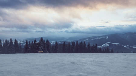 winter mountains with clouds in sunset time. Ski slope, pine tree forest, mount range in the background. Majestic nature landscape. Ski Resort Bukovel, Carpathian Mountains, Ukraine.の写真素材