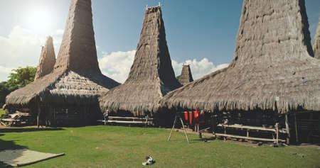 Traditional houses roofs closeup at Indonesia village. Unique homes rooftops design of Indonesian attraction at green grass valley. Sumba Island close up landmark at summer sunny dayの写真素材
