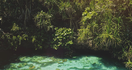 Closeup tropic trees leaves over emerald lake with corals of Weekuri attraction, Wild Sumba Island,...