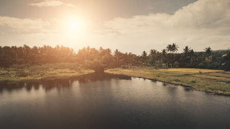 Sun tropic forest at lake shore aerial. Nobody nature landscape at Legazpi town, Mayon mount, Philippines, Asia. Green grass coast at palm trees and serene water with sun reflection. Soft light shotの写真素材