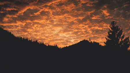 Mountain fir forest silhouette at sunset aerial. Nobody nature landscape at sun set. Twilight cloud sky above mount ridges. village at pine trees. Autumn vacation to Carpathian ranges, Ukraine, Europeの写真素材