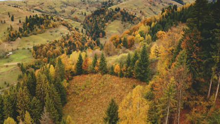 Autumn mountain forest aerial. Sun nobody nature landscape. Rural road at village. Countryside with leafy and fir green, yellow trees at mount hill. Cinematic vacation at Carpathians, Ukraine, Europeの写真素材