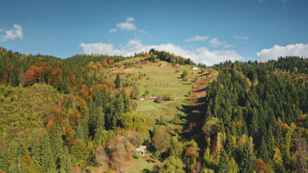 Aerial cottages at mountain forest. Autumn nobody nature landscape. Houses at green grass hill. Leaf, fir trees. Countryside vacation. Unknown village at rural Carpathians mounts, Ukraine, Europeの写真素材