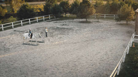 Closeup horseback training aerial top down. Girl sitting on horse. Trainer walk at racecourse. Beagle dogs look at camera. Nature landscape. Equestrianism. Equestrian sports. Recreation vacationの写真素材