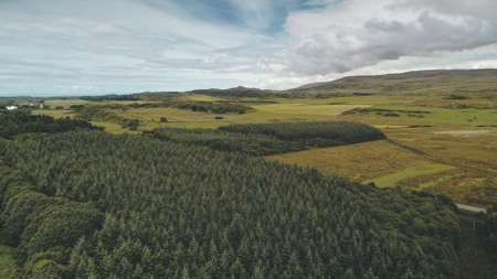 Pine forest at green valley aerial. Nobody nature landscape. Rural farmlands at road. Amazing greenery trees at countryside. Port town Ellen, Islay Island, United Kingdom, Europe. Cinematic drone shotの写真素材
