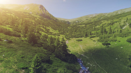 Aerial Drone Flight above beautiful mountain landscape. Green canyon with pine tree forest, meadows and curve river in sunset. Nature, travel, hiking, holidays concept. Carpathian mountains.の写真素材