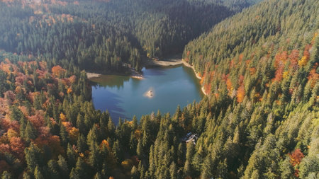 wonderful mountain lake with small island surrounded by dense mixed forests on sunny autumn day aerial view. Carpathian mountains, Ukraine beauty nature. Travel, summer holidays.の写真素材
