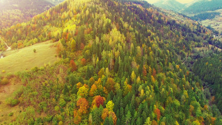 Aerial Drone View: Flight over summer mountains with forests, meadows and hills in sunset light. Camera turn left. Carpathian Mountains, Ukraine, Europe. Majestic landscape. Beauty world.の写真素材