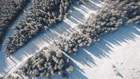 Top down snow mountain ski slope resort aerial. Tourist active sport. People at pine trees forest on snowy hill. Winter nature landscape. Mountaineering lifestyle. Carpathian, Bukovel, Ukraine, Europeの写真素材