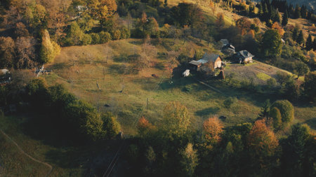 Green mountain forest at ridge aerial. Nobody nature landscape. Mount ranges with pine trees. Autumn wood at sun day. Vacation at Carpathians unknown countryside, Ukraine, Europe. Cinematic drone shotの写真素材