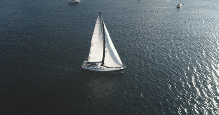 Yacht regatta race at ocean bay with seagull flying aerial. Sun reflect at Brodick Gulf, Scotland, Europe. Sail boat at open sea. Sailboat at summer cruise. Luxury vacation at marineの写真素材