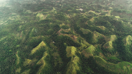 Top down mountain burnt peak grass aerial view: tropic palm trees at jungle Quitinday hills of Mayon, Philippines. Asian mountainous landscape of wild nature. Forest fires autumn concept shotの写真素材