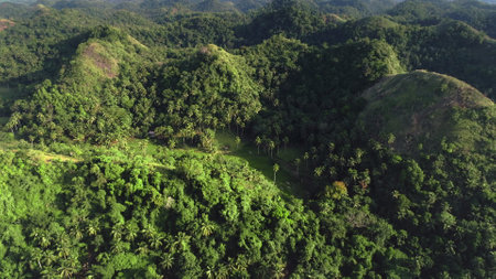 Top down jungle hill ranges aerial view with high trees, plants, grasses. Majestic wildlife nobody nature of tropical Asia. Greenery Filipino lands and mounts in cinematic drone shotの写真素材
